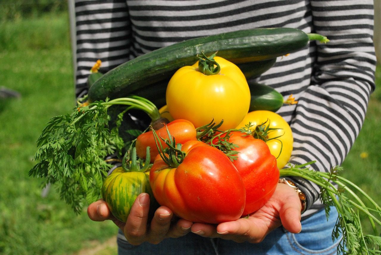 Easy Vegetables to Grow