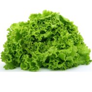Nelesa Gardening Green Lettuce Vegetable Seed - 50 Seeds Pack