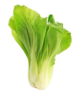 Nelesa Gardening Pak Choi Bok Choy Chinese Cabbage Vegetable Seed - 30 Seeds Pack