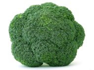 Nelesa Gardening Broccoli Hybrid Vegetable Seed - 20 Seeds Pack