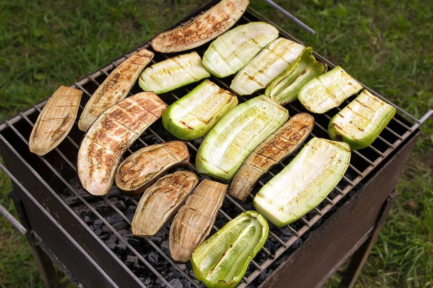 Nelesa Gardening Brinjal Big Green Eggplant Organic Vegetable Seeds - 50 Seeds Pack for Home Gardening, High Yielding Easy to Grow Eggplant Seed for Indian Gardens, Vegetable Seed for Home Gardeners - Image 7