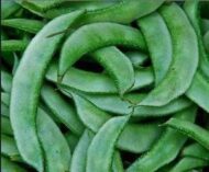 Creative Farmer Flat Lima Bean Green Sem Seeds 20 Seeds