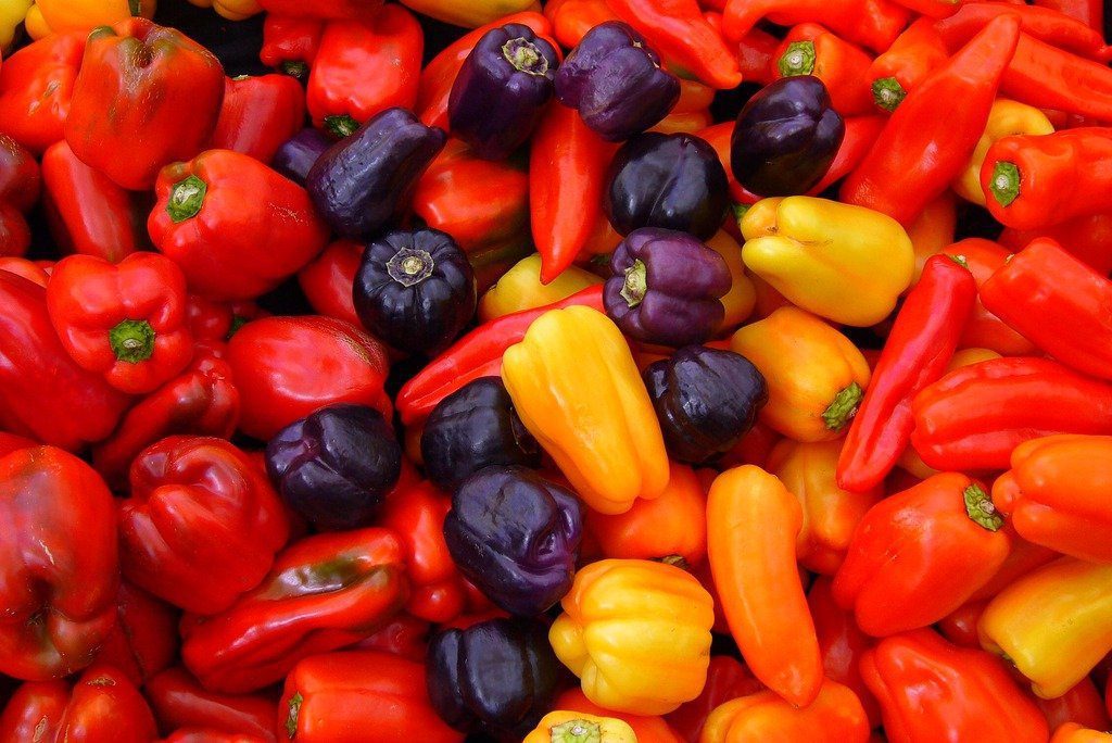 Nelesa Gardening Capcicum Bell Pepper Shimala Mirch Mix Colour Seeds 20 Seeds
