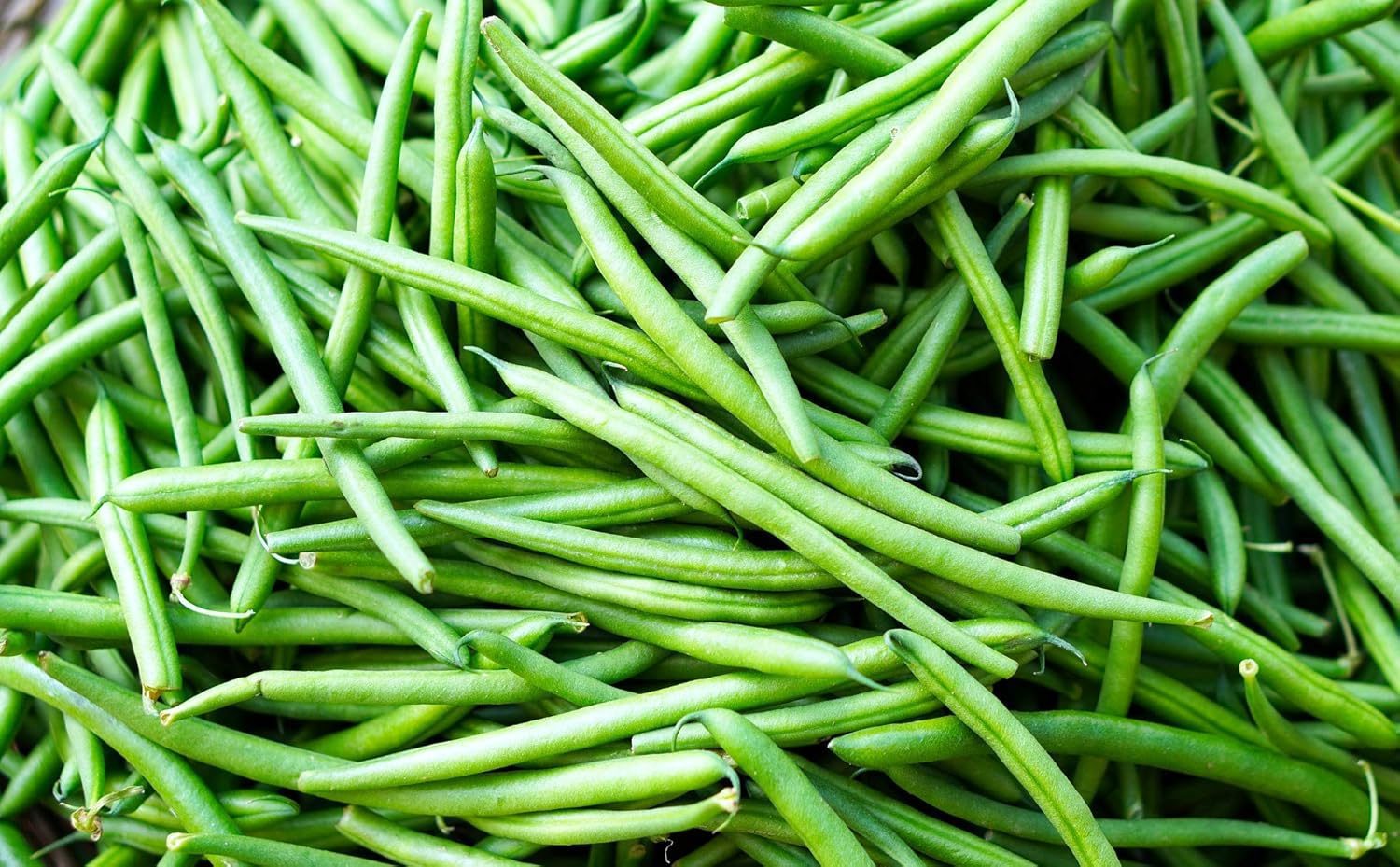 Nelesa Gardening Pole Bean Vegetable Seeds - 20 Seeds Pack