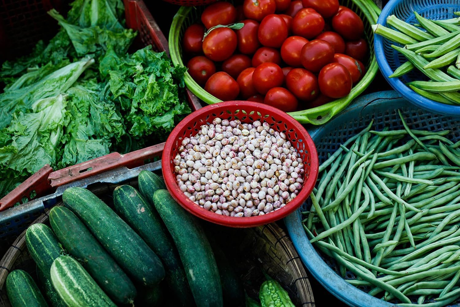 Nelesa Gardening Pole Bean Vegetable Seeds - 20 Seeds Pack - Image 4