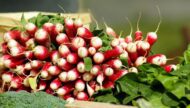 Nelesa Gardening Red Radish Lal Mooli Vegetable Seed - Pack of 50 seeds - Image 3