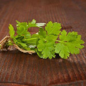 Cilantro Seed, Coriander, Vegetable Seeds - Pack of 50 Seeds