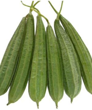 Ridge Gourd Seeds
