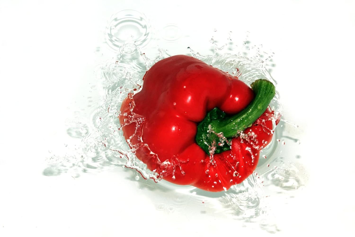 Sweet Red Bell Pepper Capsicum Vegetable Seeds - 15 Seeds Pack, High-Yield Non-GMO Organic Seeds for Home & Kitchen Gardening, Easy to Grow, Ideal for Indoor & Outdoor Gardens - Image 3
