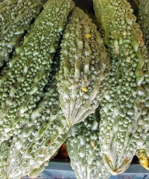 Bitter Gourd Seed, Karela, Karle - 30 Seeds Pack