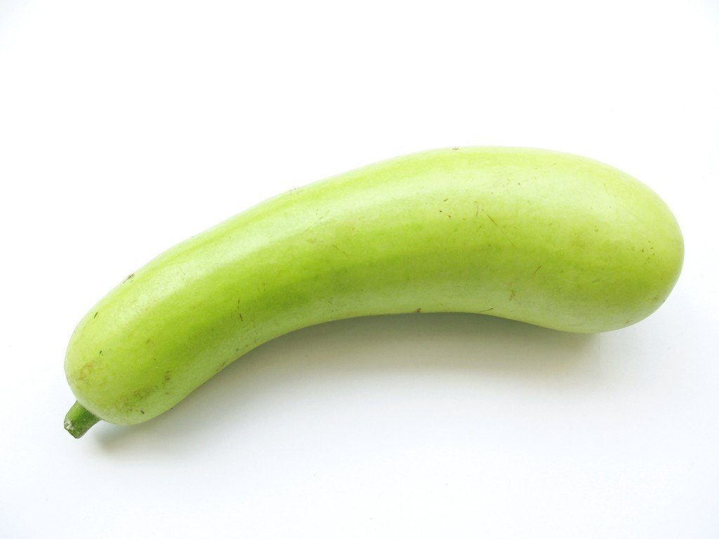 Bottle Gourd Seeds 25 Seeds