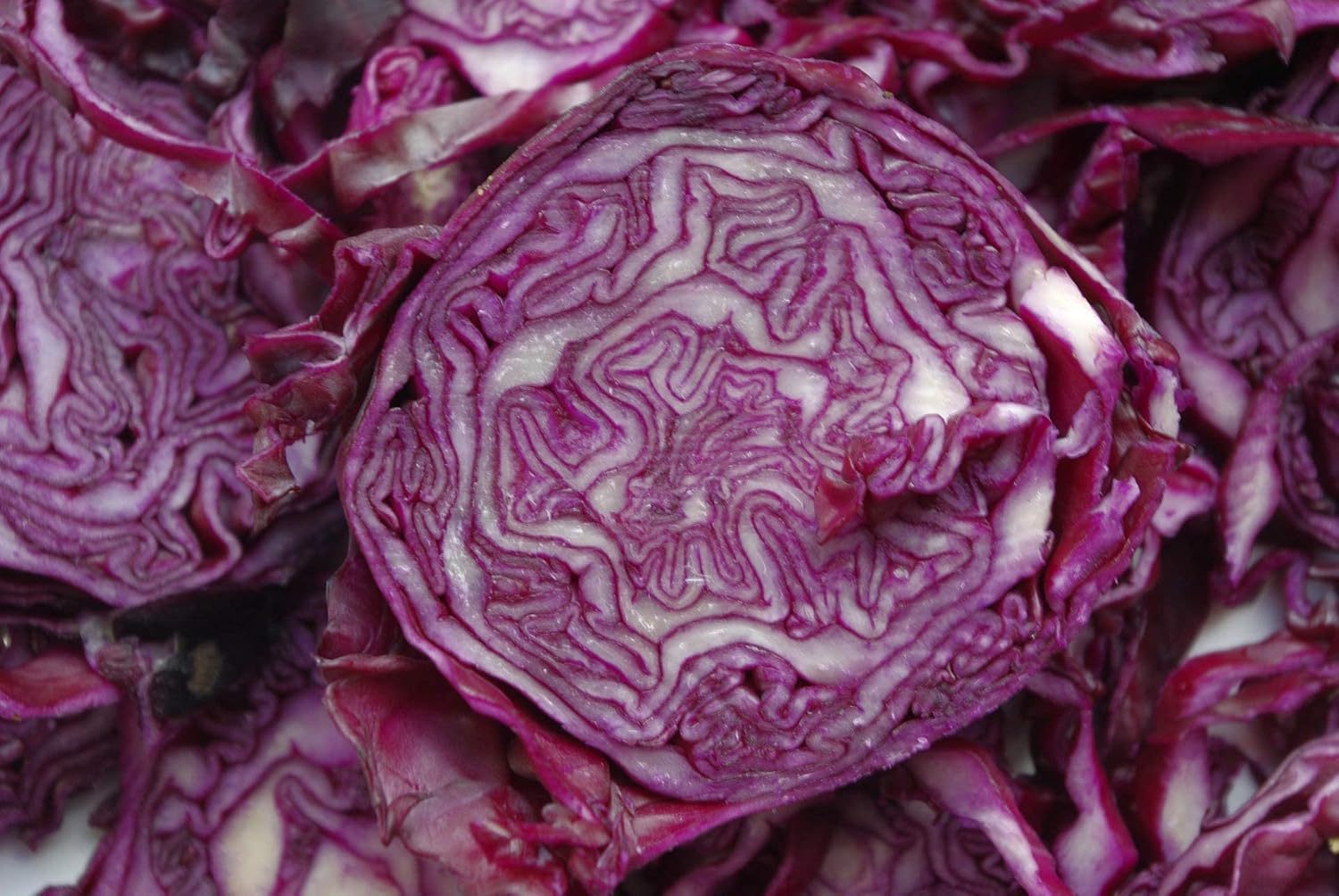Red Acre Cabbage Vegetable Seed - 50 Seeds Pack - Image 3