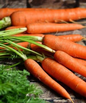 Orange Carrot Seed Desi Gajar Seed Vegetable Seed