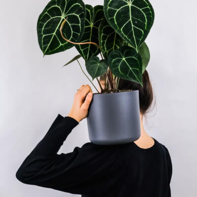 Pots