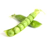 Nelesa Gardening Sweet Pea Seed - 20 Seeds Pack