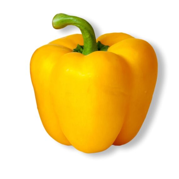 Nelesa Gardening Golden Yellow Bell Pepper Capsicum Vegetable Seeds - 10 Seeds Pack for Home Gardening, Kitchen Gardening, Organic Vegetable Growing, Easy to Grow Capsicum Seeds for All Seasons - Image 3