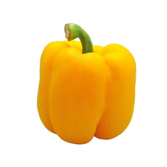 Nelesa Gardening Golden Yellow Bell Pepper Capsicum Vegetable Seeds - 10 Seeds Pack for Home Gardening, Kitchen Gardening, Organic Vegetable Growing, Easy to Grow Capsicum Seeds for All Seasons