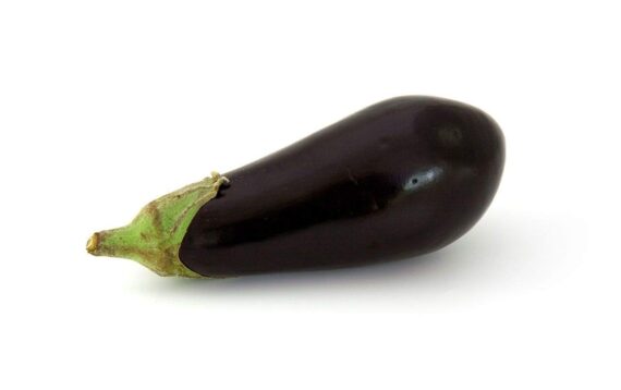 Nelesa Gardening Black Beauty Brinjal Hybrid Seeds 50 Seeds Pack for Home Gardeners - Image 4
