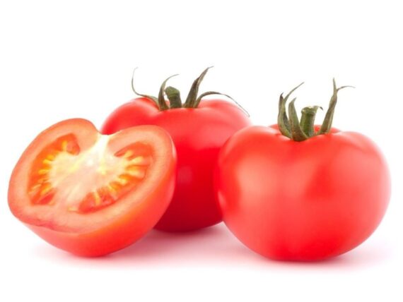 Seeds Vegetable Seeds Tomato tamatar 40+seeds