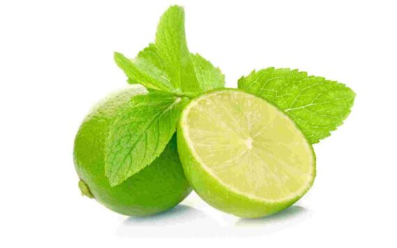 Nelesa Gardening Live Lime Plant Fruit Plant in polybag