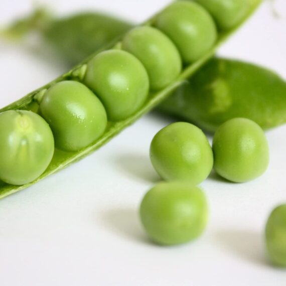 Nelesa Gardening Sweet Pea Seed - 20 Seeds Pack - Image 3