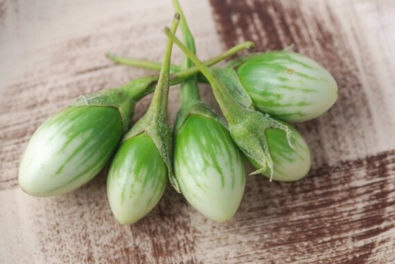 Nelesa Gardening Brinjal Green Oval seeds 50 Seeds