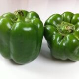 Nelesa Gardening Green Capsicum Bell Pepper Shimala Mirch Seed - 20 Seeds Pack