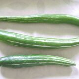 Nelesa Gardening Snake Gourd Seeds – Pack of 25 Seeds for Home Gardening | Organic & Easy to Grow Indian Vegetable Seeds | Perfect for Kitchen Gardens & Backyard Farming