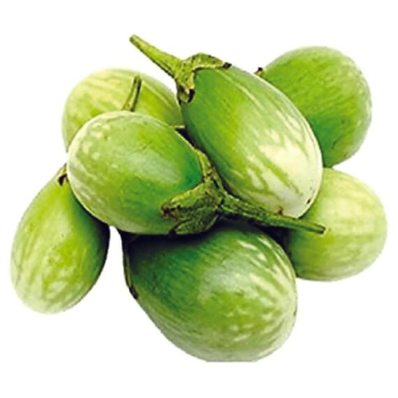 Nelesa Gardening Brinjal Green Oval Eggplant Seed - 50 Seeds pack - Image 3