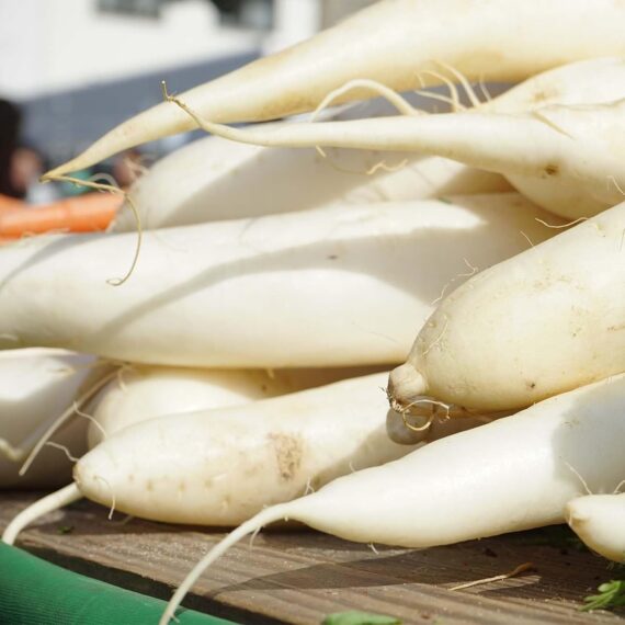 Nelesa Gardening White Radish Vegetable Seed - 50 Seeds - Image 4