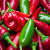 hot chili seeds