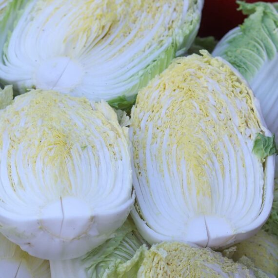 Nelesa Gardening Cabbage Chinese Vegetable Bok Choy Pok Choy Seed - 50 Seeds Pack for Home Garden, Non-GMO Organic Asian Greens, Perfect for Kitchen & Outdoor Gardening, High Yield, Easy to Grow - Image 4