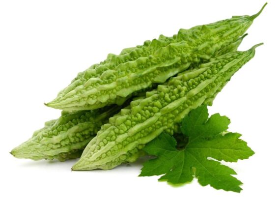 Nelesa Gardening Bitter Gourd Seeds 25 Seeds