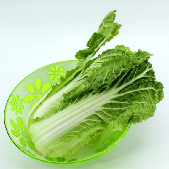 Nelesa Gardening Cabbage Chinese Vegetable Bok Choy Pok Choy Seed - 50 Seeds Pack for Home Garden, Non-GMO Organic Asian Greens, Perfect for Kitchen & Outdoor Gardening, High Yield, Easy to Grow - Image 2
