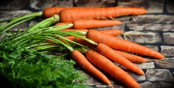 Nelesa Gardening Orange Carrot Seed Desi Gajar Seed Vegetable Seed - Pack of 50 seeds