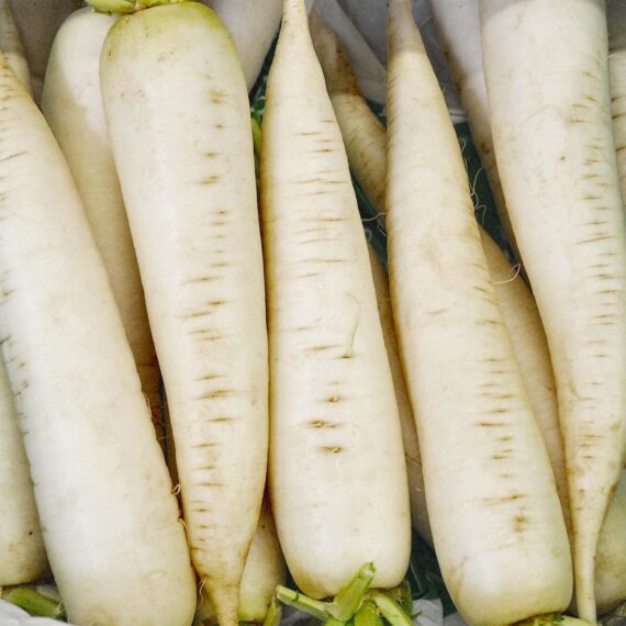 Nelesa Gardening White Radish Vegetable Seed - 50 Seeds - Image 6