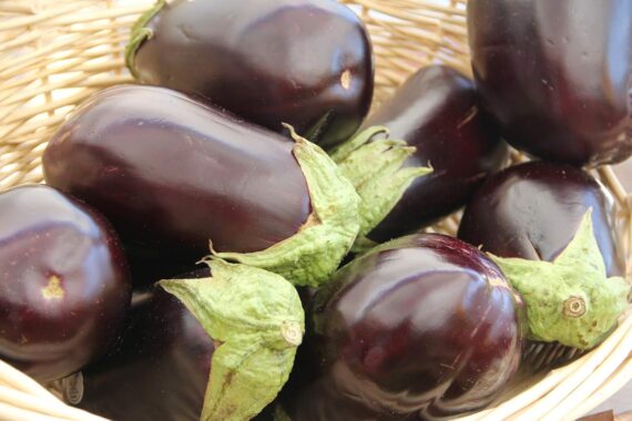 Nelesa Gardening Brinjal Black Big Eggplant Seeds 50 seeds - Image 3