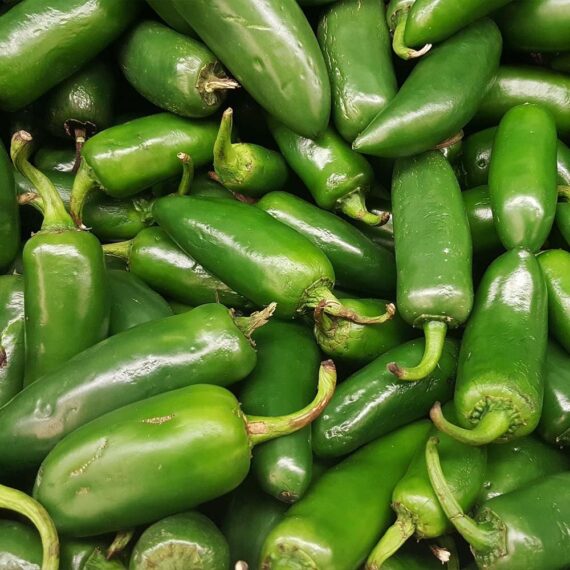 Nelesa Gardening Hot Jalapeno Pepper Seed - 20 Seeds Pack