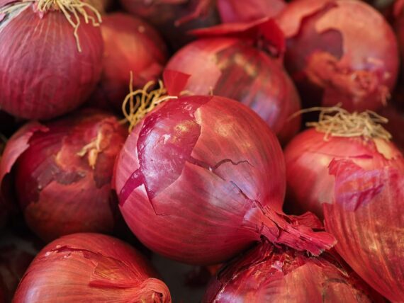 Nelesa Gardening Red Onion Seeds, Pyaaj, Vegetable Seed - Pack of 50 Seeds - Image 3