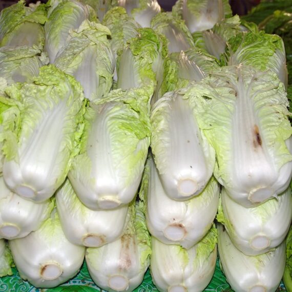 Nelesa Gardening Cabbage Chinese Vegetable Bok Choy Pok Choy Seed - 50 Seeds Pack for Home Garden, Non-GMO Organic Asian Greens, Perfect for Kitchen & Outdoor Gardening, High Yield, Easy to Grow - Image 3