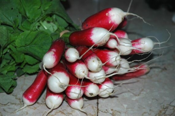 Nelesa Gardening Red Radish Lal Mooli Vegetable Seed - Pack of 50 seeds - Image 5