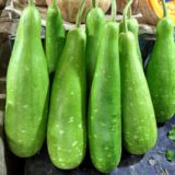 Nelesa Gardening Long Bottle Gourd Seed Lauki Lau Calabash Vegetable Seed - 25 Seeds Pack