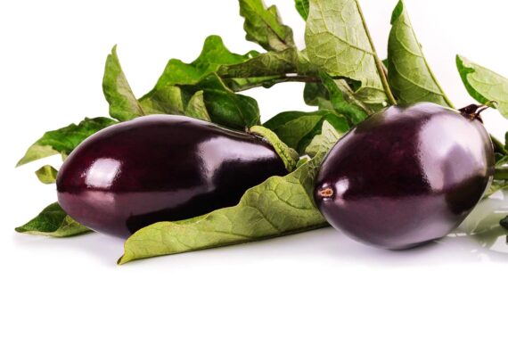 Nelesa Gardening Brinjal Black Big Eggplant Seeds 50 seeds - Image 5