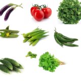 Nelesa Gardening 9 Vegetable Combo Seed Pack of 270 Seeds For Home And Garden, Coriander, Oakra, Green chilli, Bitter Gourd(karela), spinach(palak), Ridge gourd(Turai), Tomato seeds, Brinjal long purple, Methi kasuri seeds)