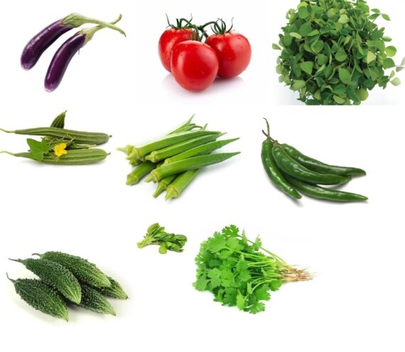 Nelesa Gardening 9 Vegetable Combo Seed Pack of 270 Seeds For Home And Garden, Coriander, Oakra, Green chilli, Bitter Gourd(karela), spinach(palak), Ridge gourd(Turai), Tomato seeds, Brinjal long purple, Methi kasuri seeds)