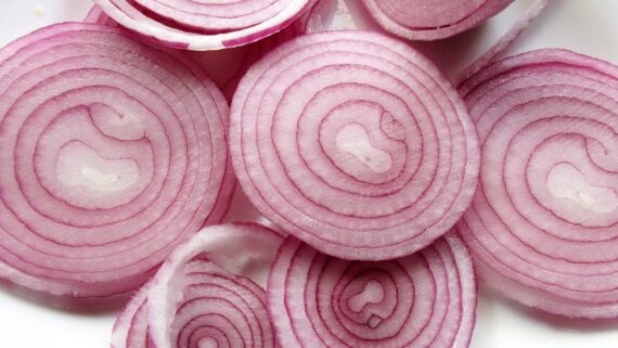 Nelesa Gardening Red Onion Seeds, Pyaaj, Vegetable Seed - Pack of 50 Seeds - Image 6