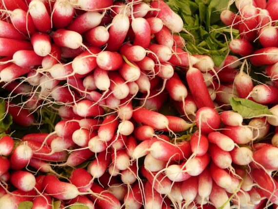 Nelesa Gardening Red Radish Lal Mooli Vegetable Seed - Pack of 50 seeds - Image 4