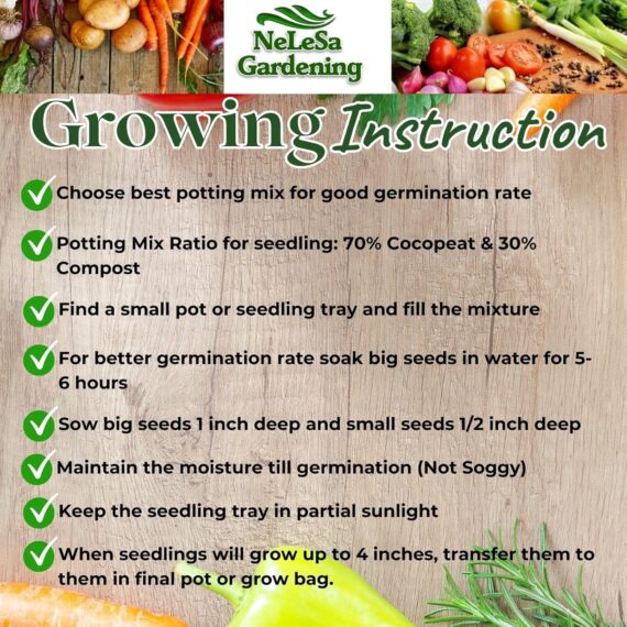 Nelesa Gardening 12 Leafy Vegetable Seeds for Home Gardening, Kitchen Gardening Seeds, Organic Vegetable Seeds, Fresh Indian Desi Vegetable Seeds, Easy to Grow Organic Vegetable Seeds for Garden - Image 4