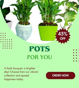 Pots for Sale