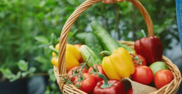 Organic Kitchen Garden